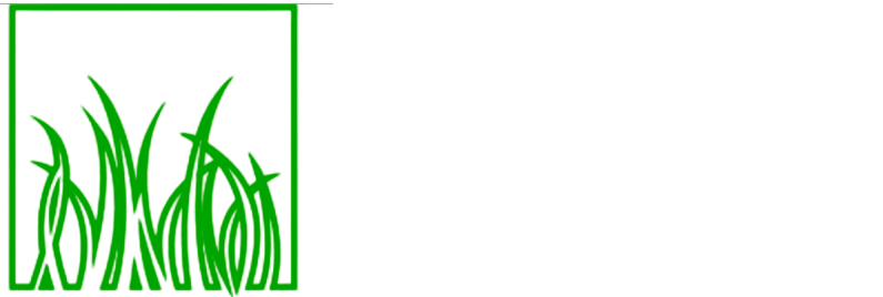 Synthetic Grass of Dallas